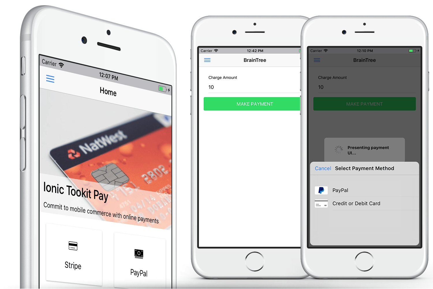 Ionic 3 Toolkit Pay Personal Edition - Get Paid with Stripe, Paypal & Credit Cards - 6