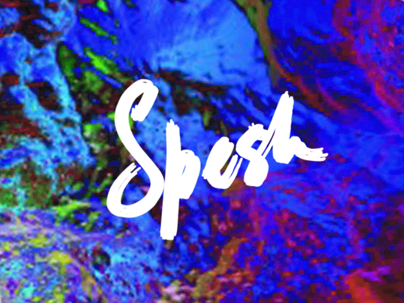 Spesh | PSD Template - 9