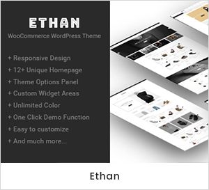 Ethan - Responsive WooCommerce WordPress Theme