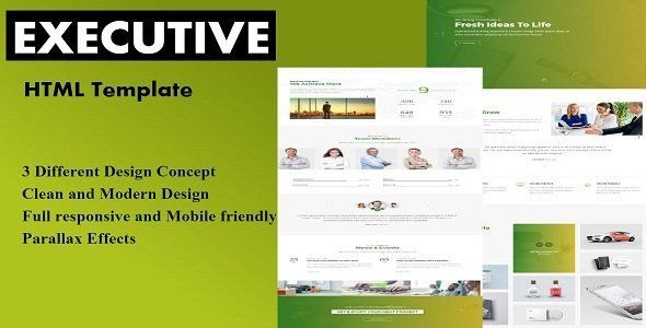 Executive | Multipurpose HTML Template   Design 