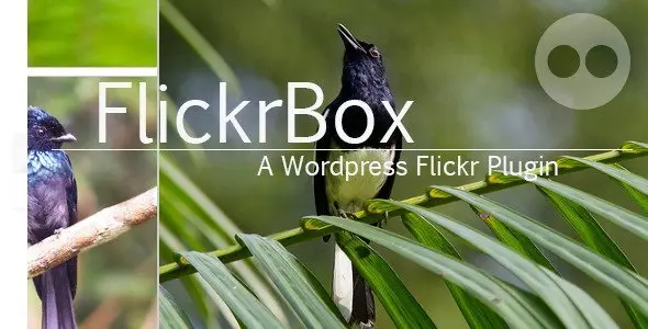 FlickrBox - Wordpress Flickr.com Gallery+Widget Android  Mobile App template