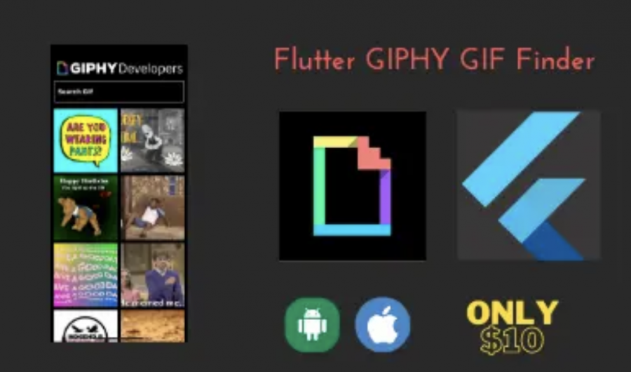 Gif Finder Using GIPHY API template app