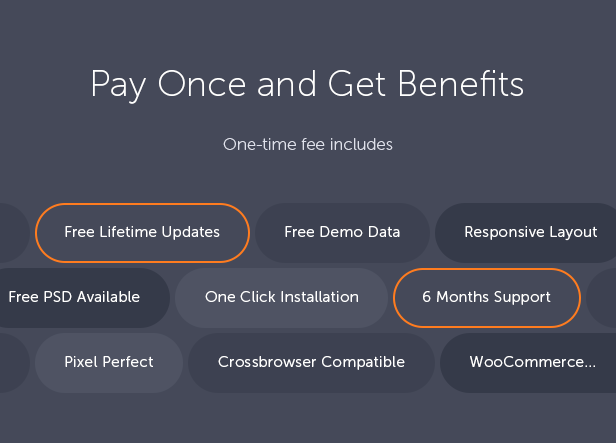 Chauffeur Taxi Booking System for WordPress - 5