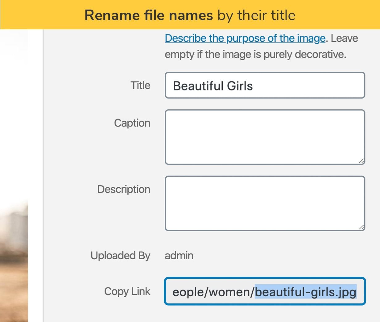 Rename file names by their title