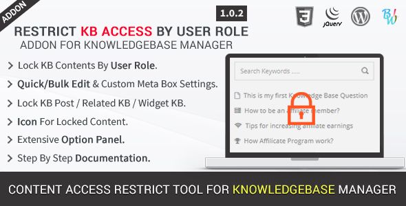 BWL Knowledge Base Manager - 16