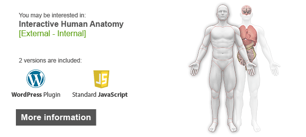 Interactive Human Anatomy [External - Internal]