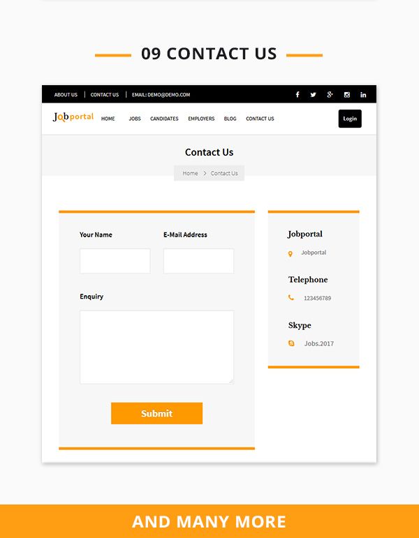 Job Portal Script contact us page 