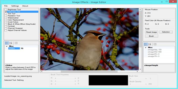 Image Effects - Image Editor - 1
