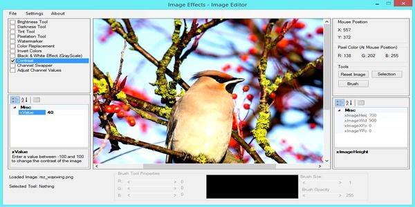 Image Effects - Image Editor - 5