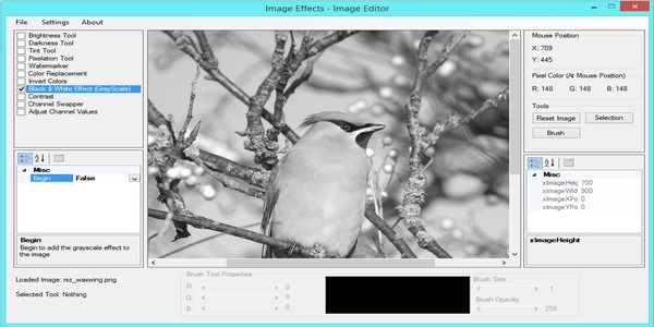 Image Effects - Image Editor - 4