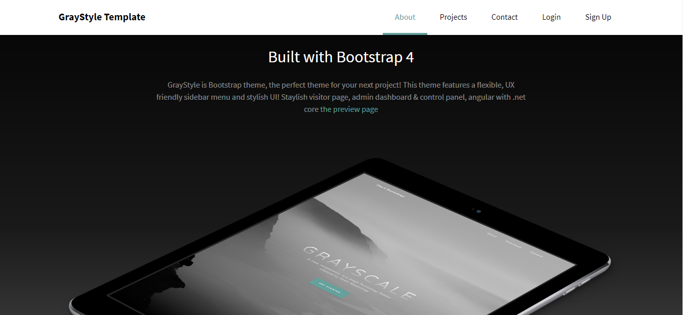 GraystyleST - Angular 10 & Above / .Net Core / Startup Template, Admin Panel & Stylish Home - 2