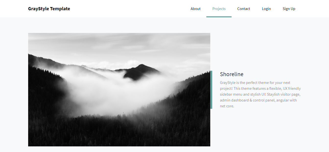 GraystyleST - Angular 10 & Above / .Net Core / Startup Template, Admin Panel & Stylish Home - 3