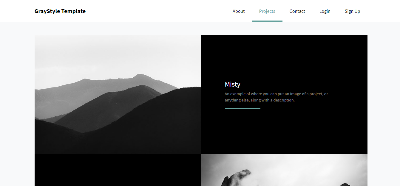 GraystyleST - Angular 10 & Above / .Net Core / Startup Template, Admin Panel & Stylish Home - 4