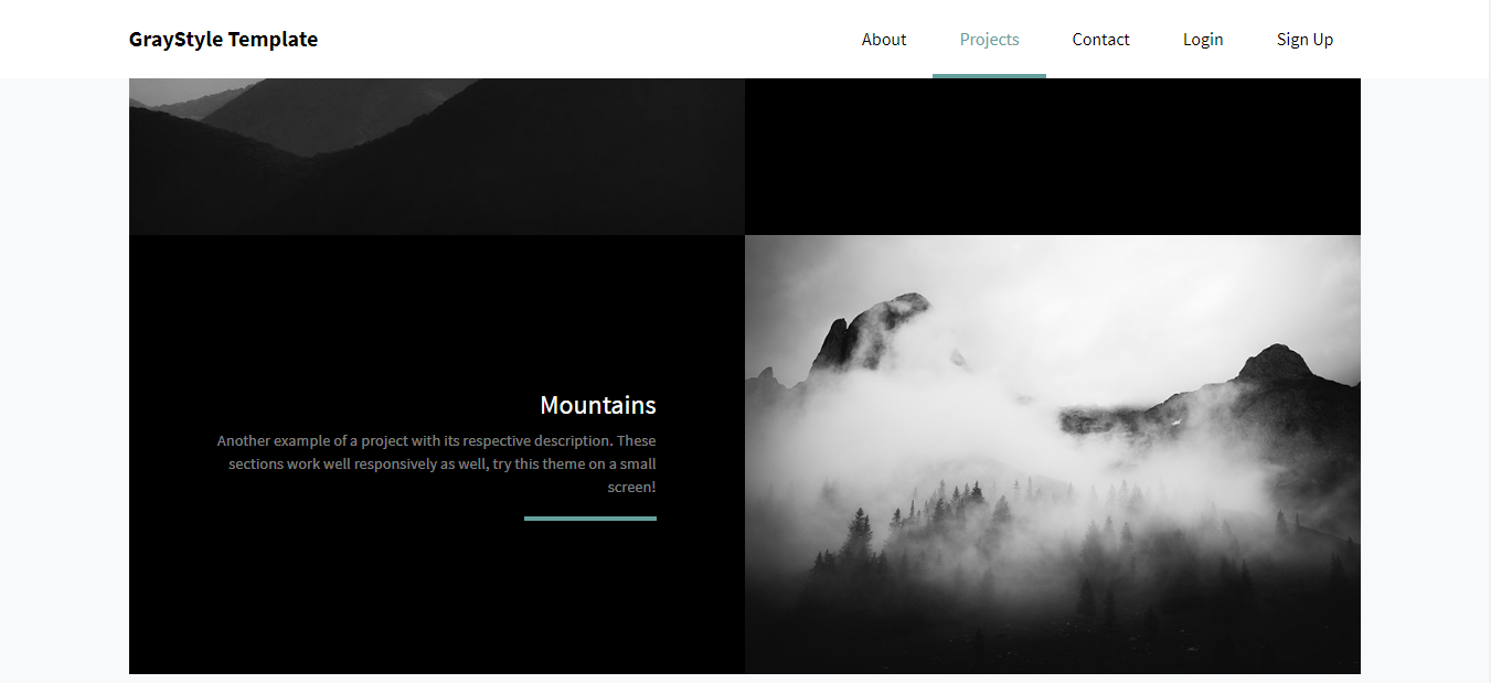 GraystyleST - Angular 10 & Above / .Net Core / Startup Template, Admin Panel & Stylish Home - 5