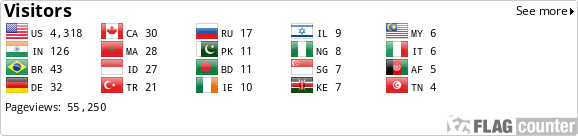 Flag Counter