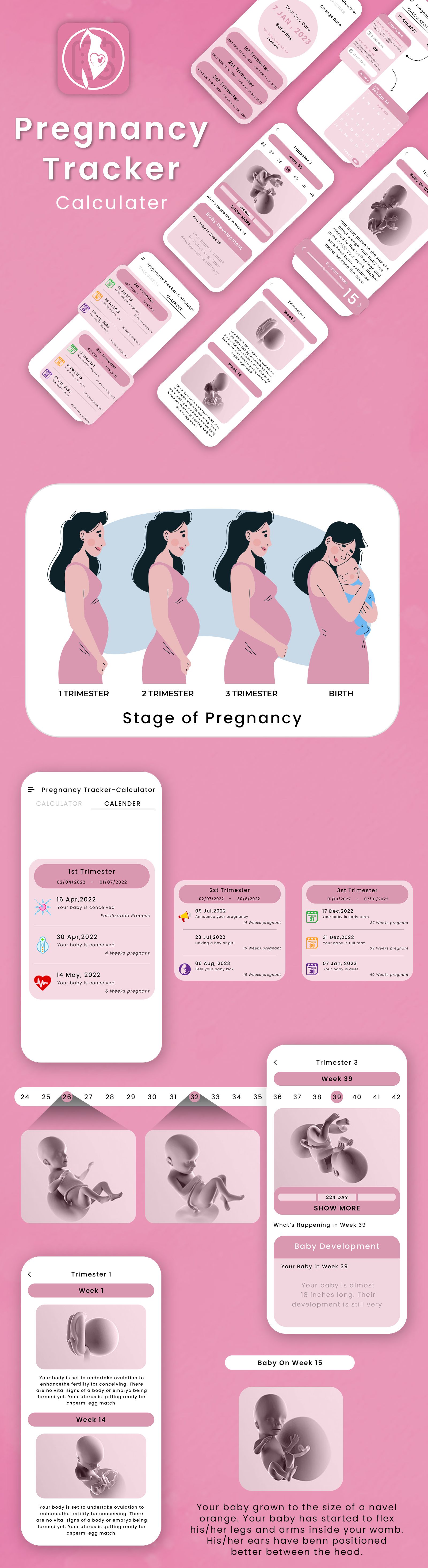 pregnancy-due-date-calculator-pregnancy-and-baby-code-market