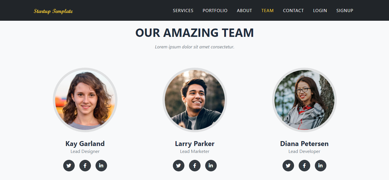 AgencyST - Angular 10 / .Net Core / Startup Template - Admin Panel & Stylish Home Page - 7