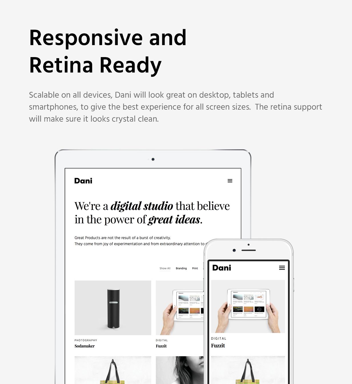 Dani - A Storming Portfolio & Shop WordPress Theme - 14
