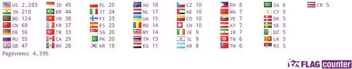 Flag Counter