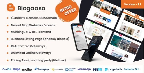 Blogaaso - Blog Website SAAS (Multitenancy)    