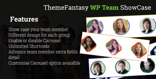 Fancy WordPress Team Showcase    