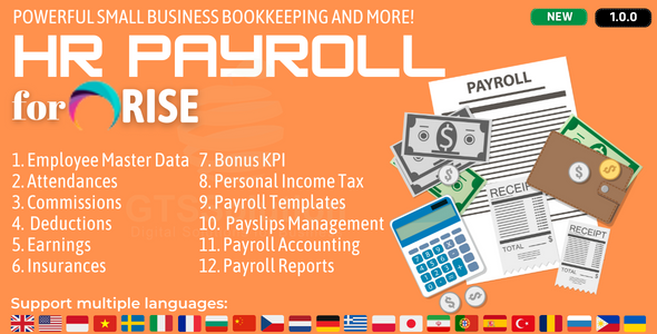 HR Payroll plugin for RISE CRM  Add Ons  