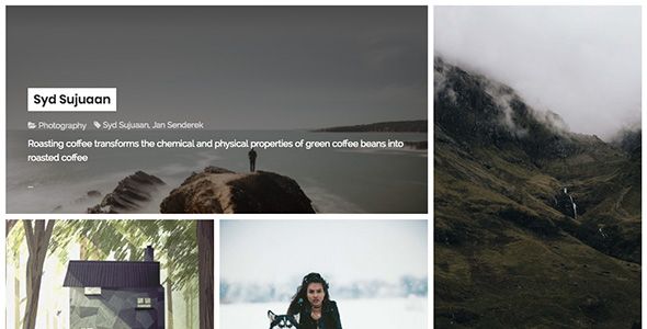 Selena - TZ Portfolio+ Gallery - code.market