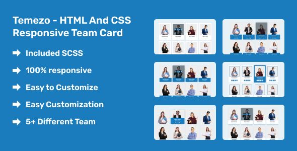Temezo - HTML and CSS Responsive Team Card    