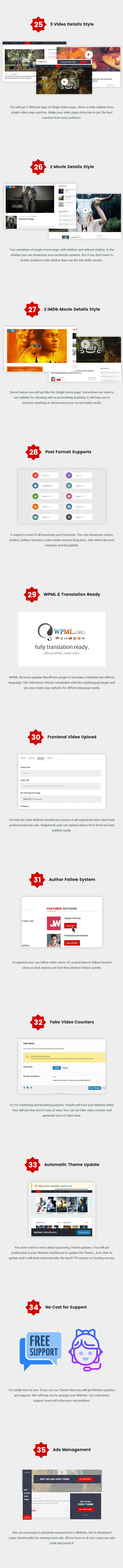 WordPress Video Theme