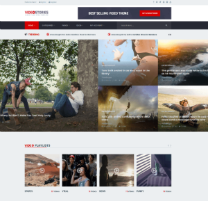WordPress Video Theme