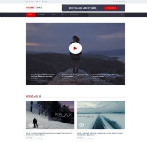 WordPress Video Theme