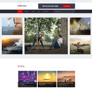 WordPress Video Theme