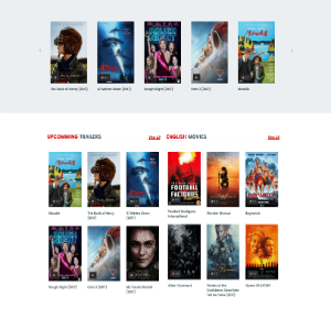 WordPress Video Theme
