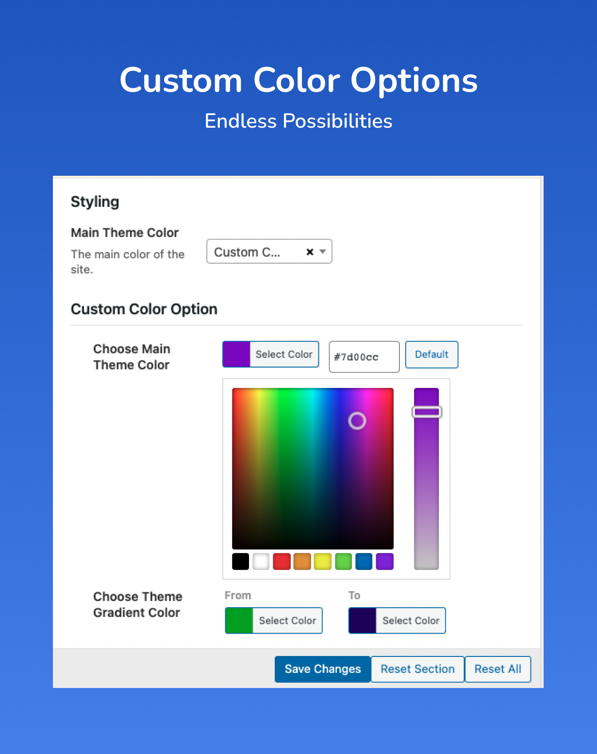 Solion - Software, Technology & IT Solutions WordPress Theme Color