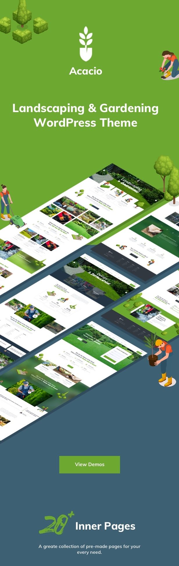 Acacio - Landscape & Gardening - 1