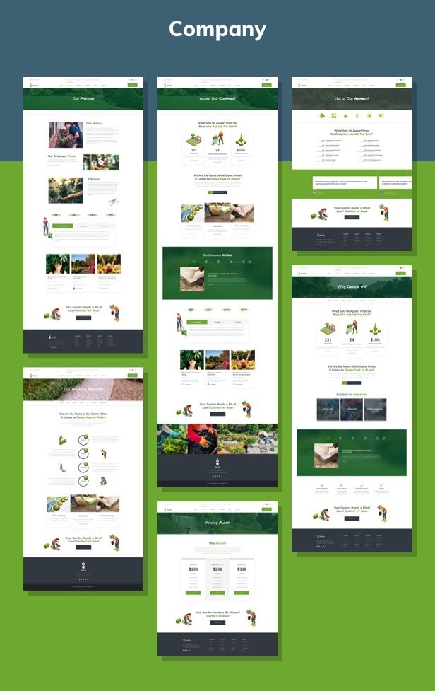 Acacio - Landscape & Gardening - 2