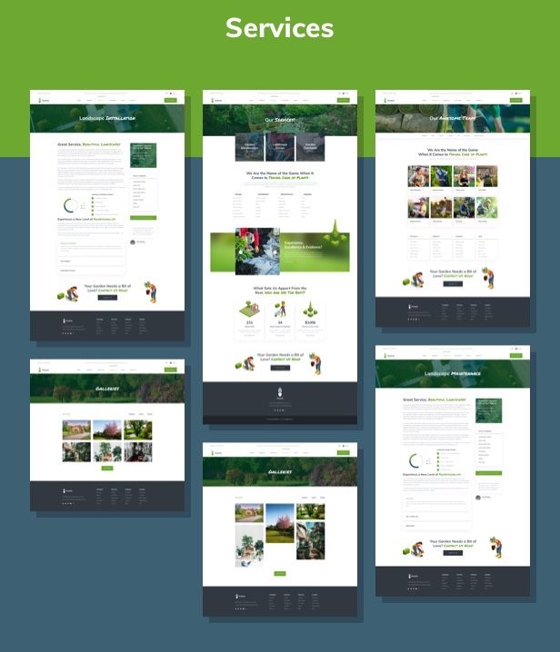 Acacio - Landscape & Gardening - 3