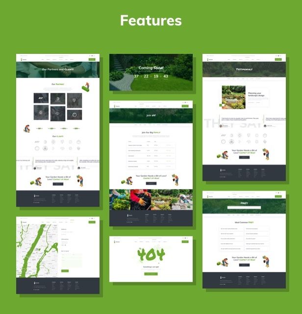 Acacio - Landscape & Gardening - 5