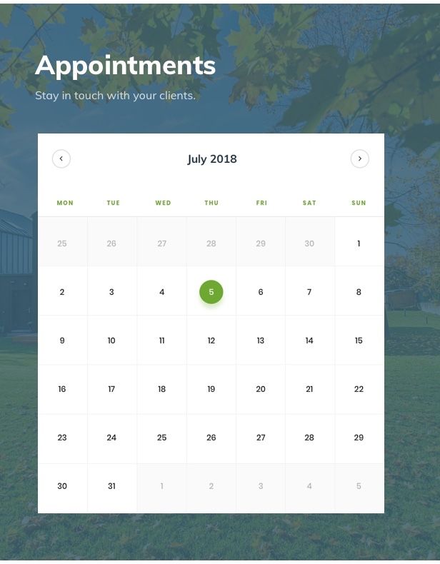 Acacio - Landscape & Gardening - 7