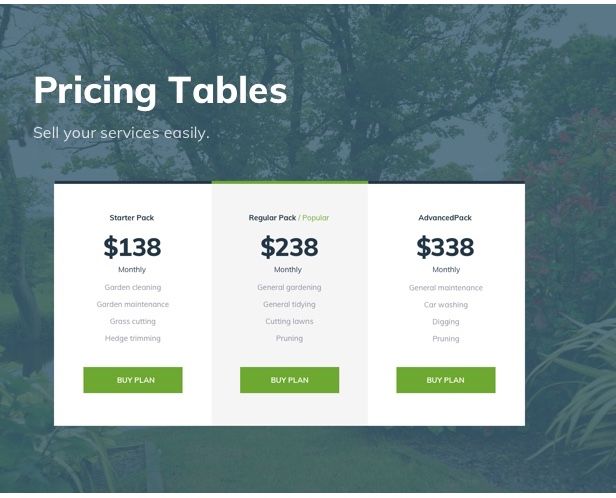 Acacio - Landscape & Gardening - 9