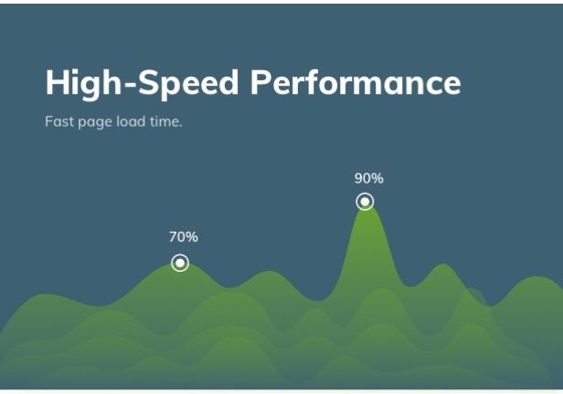 Acacio - Landscape & Gardening - 12