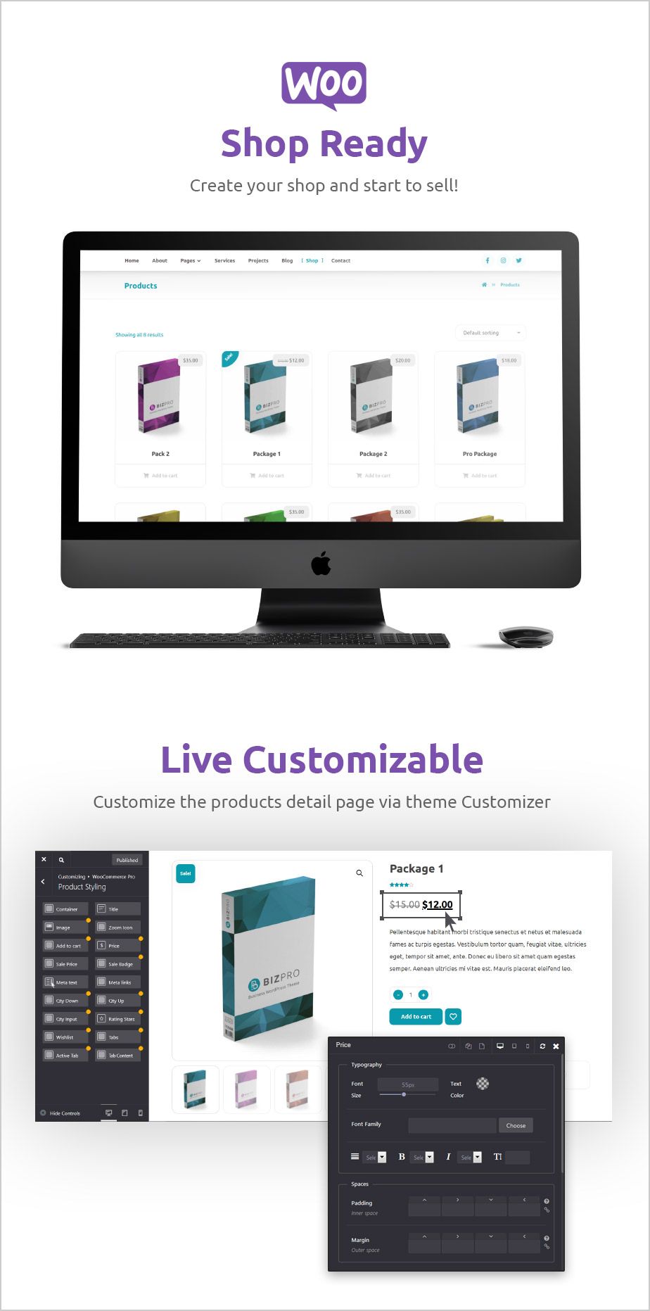 BizPro - Business Theme + RTL - 8