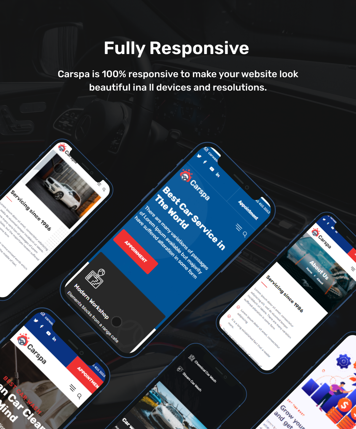 Car Wash Business WordPress Theme