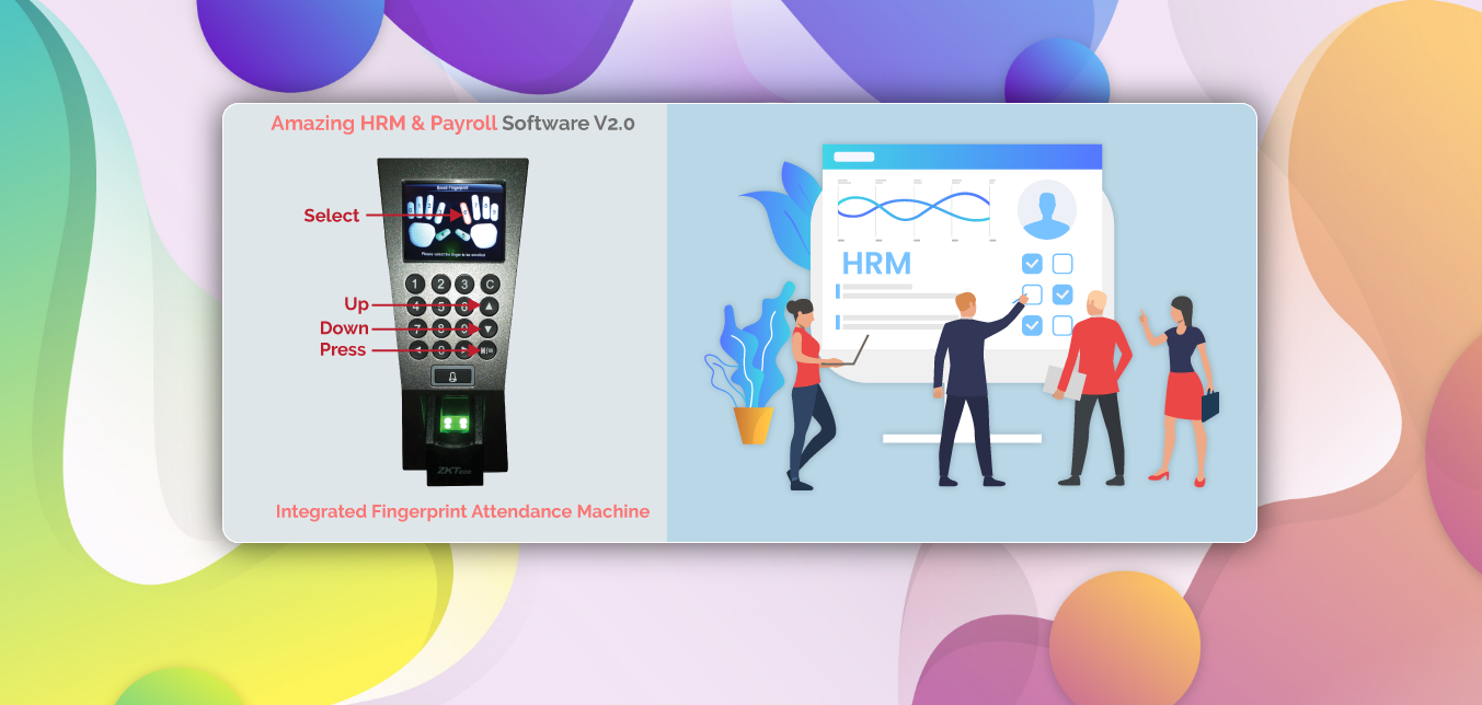 Amazing HRM & Payroll - 2