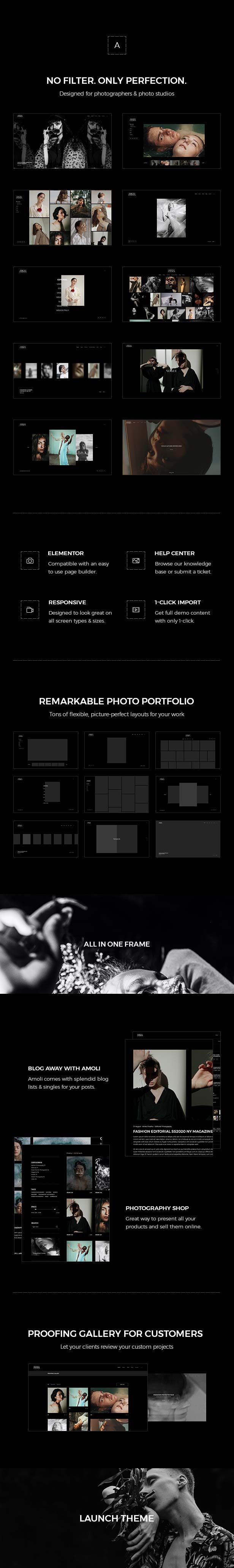 Amoli - Fashion Photography Theme - 2