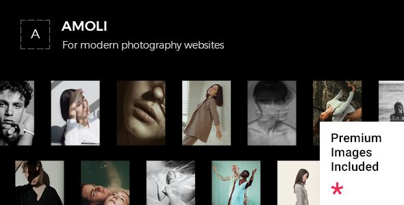 Amoli - Fashion Photography Theme WordPress Creative, Photography  