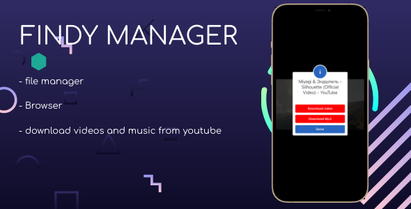 Findy manager video music downloader iOS