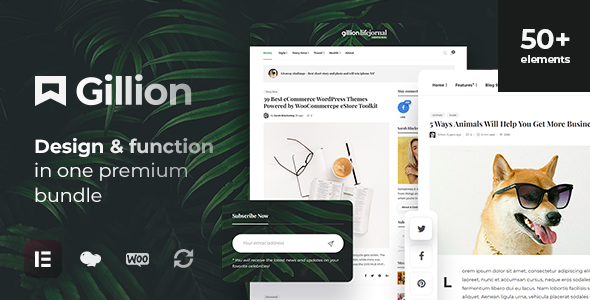 Gillion | Multi-Concept Blog/Magazine & Shop WordPress AMP Theme    