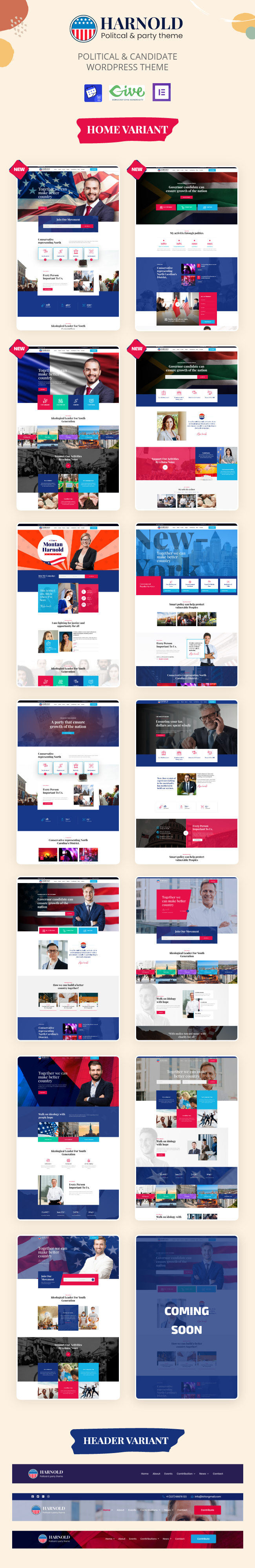 political wordpress theme