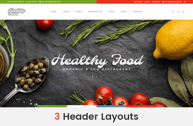 Healthy Food - Organic & Eco Restaurant WordPress Theme